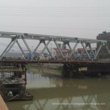 Professional Manufacturer for Steel Structure Bridge (wz-65655)